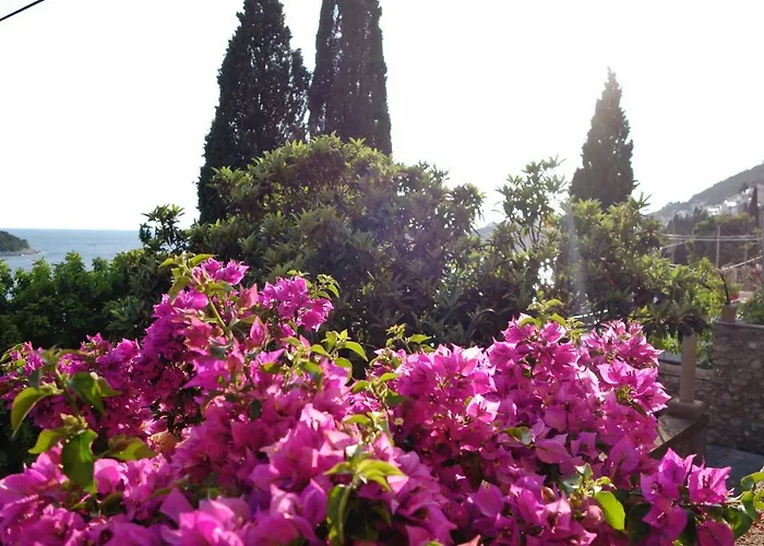 Villa Matilda
